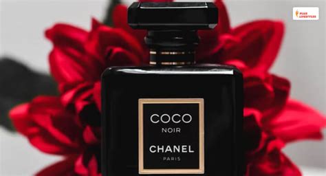 Coco Chanel Perfume Dossier.Co Things You Need To Know In 2022.